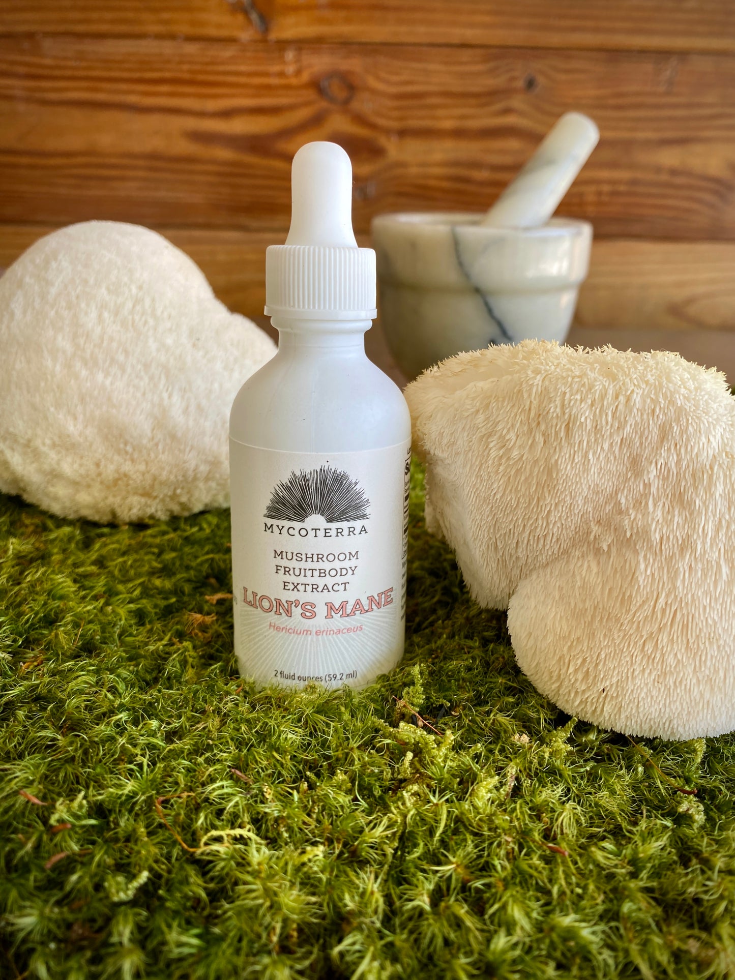 Lion’s Mane Mushroom Fruitbody Extract 2oz.