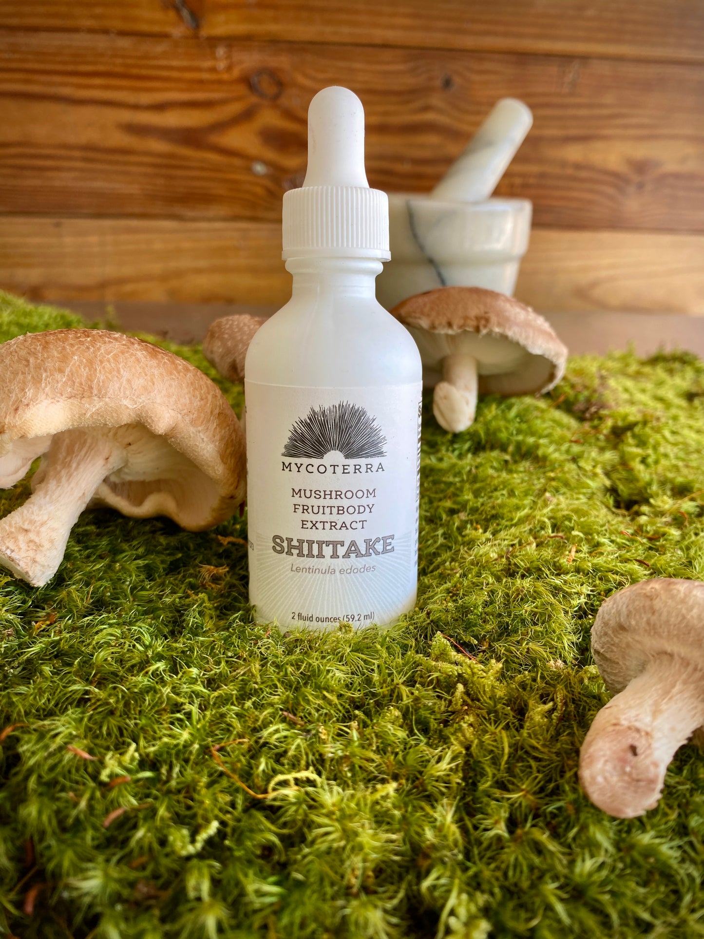 Shiitake Mushroom Fruitbody Extract 2oz.