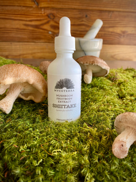 Shiitake Mushroom Fruitbody Extract 2oz.