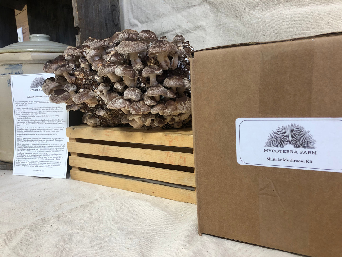 Shiitake Mushroom Grow Kit