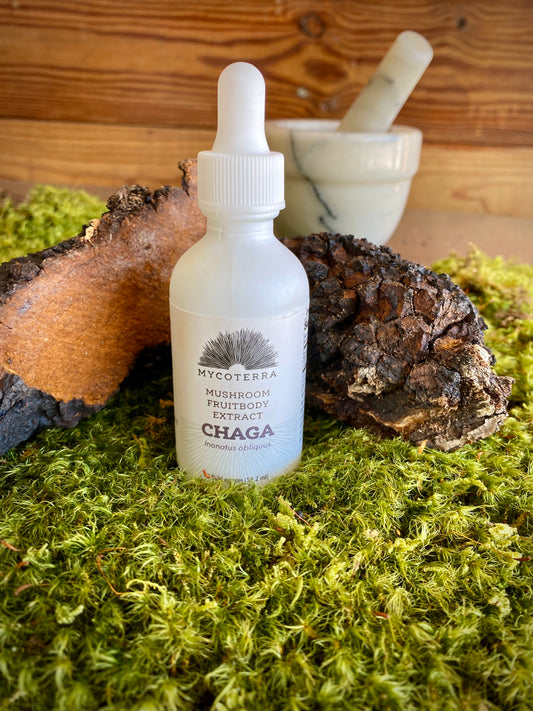 Chaga Mushroom Fruitbody Extract 2oz.