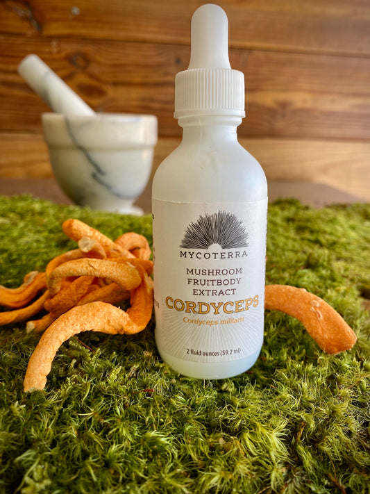 Cordyceps Mushroom Fruitbody Extract 2oz