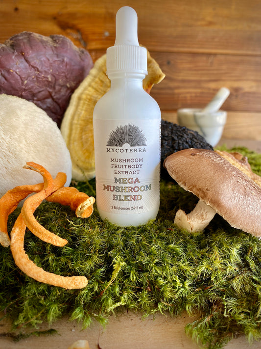 Mega Blend Mushroom Fruitbody Extract 2oz.