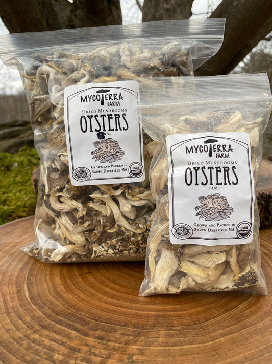 Dried Oyster Mushroom